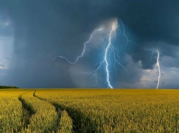 Насыщенный синоптическими событиями: прогноз погоды на Донбассе