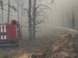 Под Северодонецком опять загорелся лес: в ГСЧС снова заверяют, что тушат его (ФОТО)