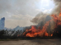 В Симферопольском районе сгорело 30 гектар сухой растительности