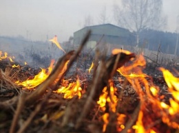 Отменяй шашлыки: в Одессе объявили чрезвычайный уровень пожарной опасности