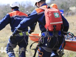 Спасатели эвакуировали с горы Бойка туриста, которого укусил шершень