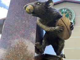 Из бронзы и с таблеткой: в Харькове установили памятник крысе