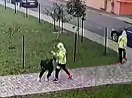 Проверят психику: близнецов из Ровно подозревают в нападении из-за компьютерных игр