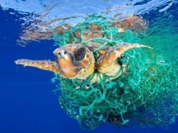 Количество пластика в океане в 20 лет может увеличиться втрое - ООН