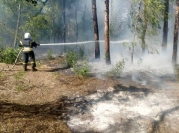 Пожар в лесном урочище "Бугские хутора" начался из-за поджога