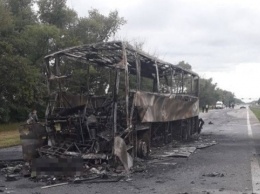 На Житомирщине автобус столкнулся с грузовиком - есть погибший