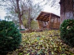 «Зеленый центр Метинвест» объявил о старте конкурса «Цветущий двор»
