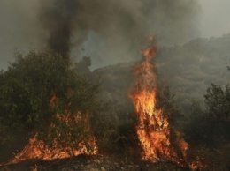 На Афоне вспыхнул лесной пожар