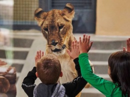 В Харьковском зоопарке просят соблюдать правила посещения