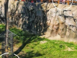 В Харьковском зоопарке посетитель посадил двух детей на барьер вольера для медведей: сотрудники провели с ним беседу, - ФОТО