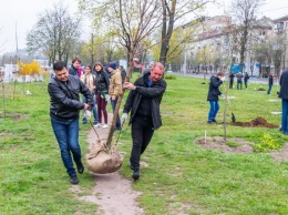 В Днепре в рамках осенней акции высадят молодые деревья