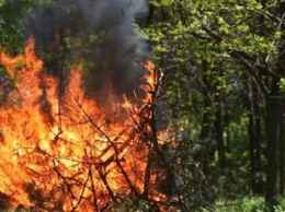 В Украине объявили пожарную опасность: список областей