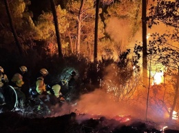 В Испании - лесные пожары: эвакуированы более 400 человек