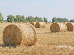 Аграрии Харьковщины собрали более 3,5 млн тонн зерна