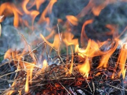 В Запорожской области загорелся сеновал