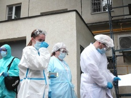 В арбузе, которым отравилась семья в Москве, нашли вещества для дезинсекции