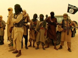 Аль-Каида не способна проводить атаки за рубежом - Госдеп