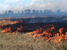 В Никополе и области ожидается высокая пожарная опасность