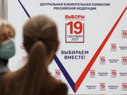 Москвичи подали 2,3 миллиона заявок на онлайн-голосование