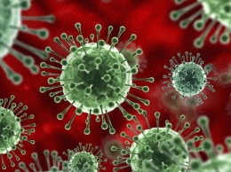 Ученые обнаружили «сверхчеловеческий» иммунитет от COVID-19