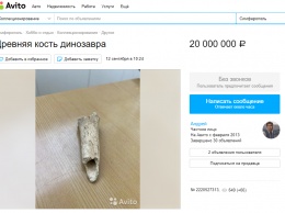 Житель Симферополя продает «кость динозавра» за 20 млн рублей