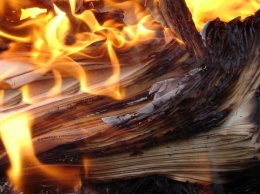 В Канаде начали сжигать книги, признанные оскорбительными для коренных народов