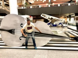 В Днепре появилась гигантская скрипка (фото)