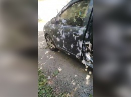 В Днепропетровской области в Renault взорвалась граната
