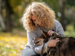 В Кривом Роге зоозащитники вытащили собаку после месяца усилий