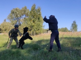 Силовики тренировались нейтрализовывать вражеские ДРГ на границе с РФ