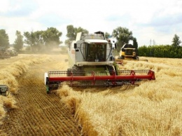 Рекордный урожай: Украина уже собрала почти 46 миллионов тонн зерна