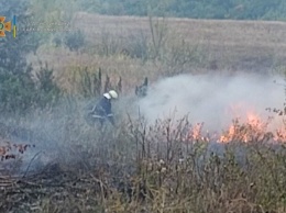 Сорок гектар огня: на Харьковщине за сутки спасатели тушили почти шесть десятков пожаров на открытых территориях, - ФОТО