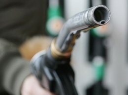 В Украине продолжает дорожать топливо: цены на АЗС за неделю выросли более чем на 0,3 грн