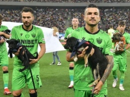 Румынские футболисты будут выходить на поле с бездомными собаками на руках