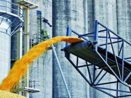 В Госрезерве заявляют о критически низких запасах зерна