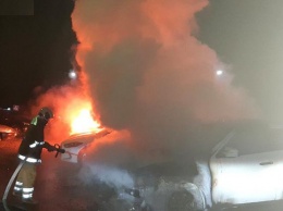 В Полтаве сожгли стоянку, сгорели шесть автомобилей (фото)