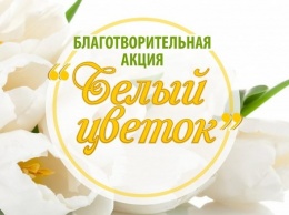 Судак присоединится к акции «Белый цветок»