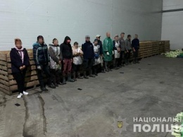 За 50 гривен в день запуганные украинцы, без паспортов, работали в полях от зари до зари