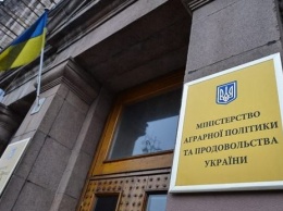 В Украине снизились отпускные цены на овощи, крупы и сахар - Минагро