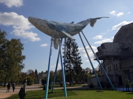 Ткаченко приглашает осмотреть эко-скульптуру «Киевский кит» на территории ВДНХ