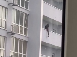 Выбирала высоту: на Позняках 17-летняя девушка трижды пыталась спрыгнуть с балкона