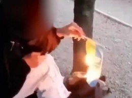 В Каменском девушка подожгла флаг Украины
