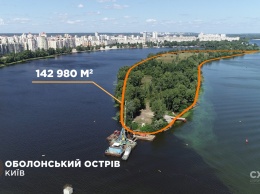 Окружение нового зама Клико завладело островом в Киеве - "Схемы"