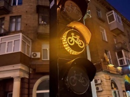 Без разметки и знаков: в Полтаве раскритиковали светофор для велосипедистов