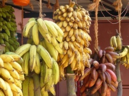 Затраты на выращивание и экспорт бананов растут, а цены остаются низкими - производители