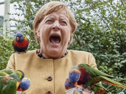 На Меркель напал попугай во время посещения птичьего парка