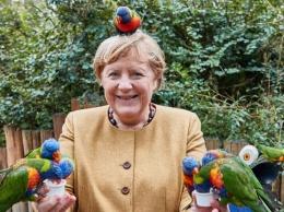 Ангелу Меркель покусали попугаи (фото)