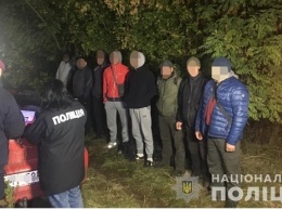 Бригада бойцов у села Николаевки пыталась у фермеров отбить урожай подсолнечника