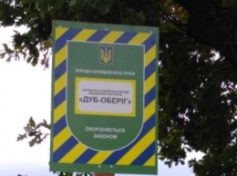 В Гостомеле на Киевщине взяли под охрану 400-летний дуб (фото)