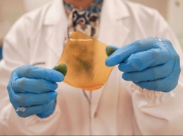 Ученые научились делать антибактериальные медицинские повязки из пищевых отходов (ФОТО)